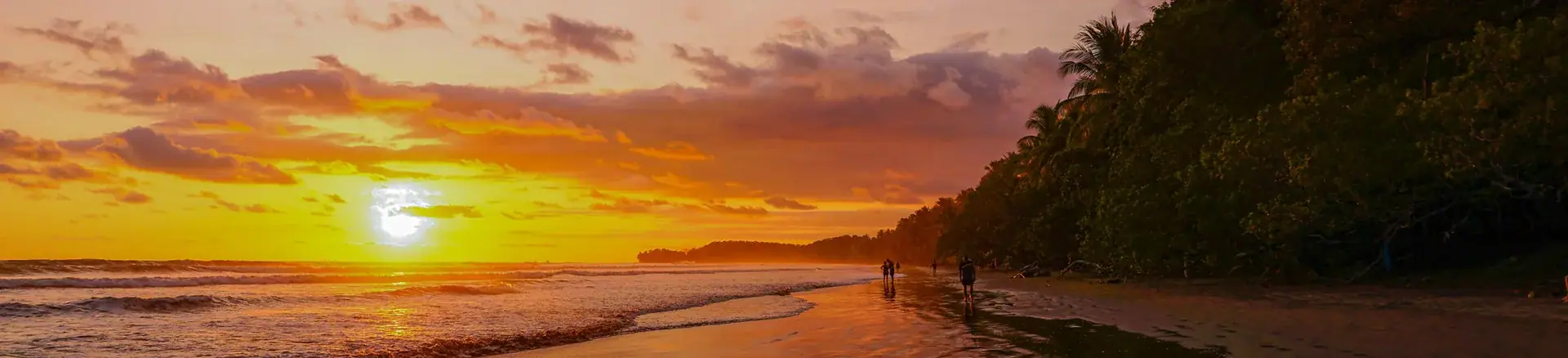 Costa Rica sunset — investment insights and market reports