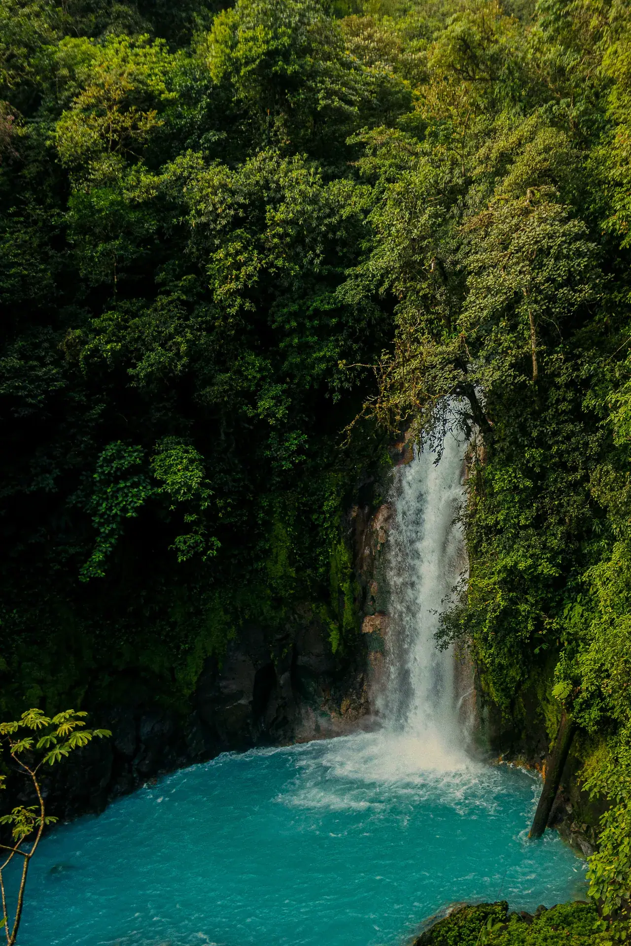 Manuel Antonio, Puntarenas, Costa Rica — investment market